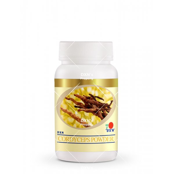 DXN Cordyceps Powder