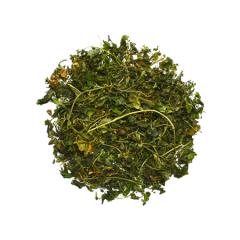 Gynostema Loose Leaf Tea 10g