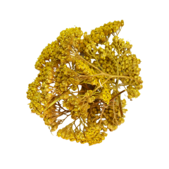 Yarrow Yellow Loose Leaf Tea 20g