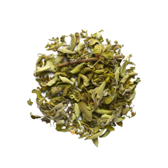 Wild Sage Loose Leaf Tea 30g