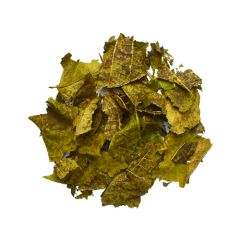 Black Walnut Leaves Loose Leaf Tea 20g