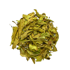 Gynura Procumbens Loose Leaf Tea 20g