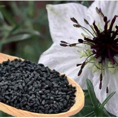 Black Seed Oil (100ml)