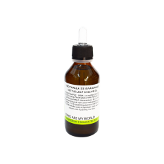 Nettle Oil (100 ml)